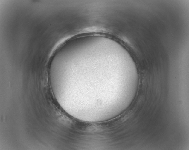 X0000078311358200611172204