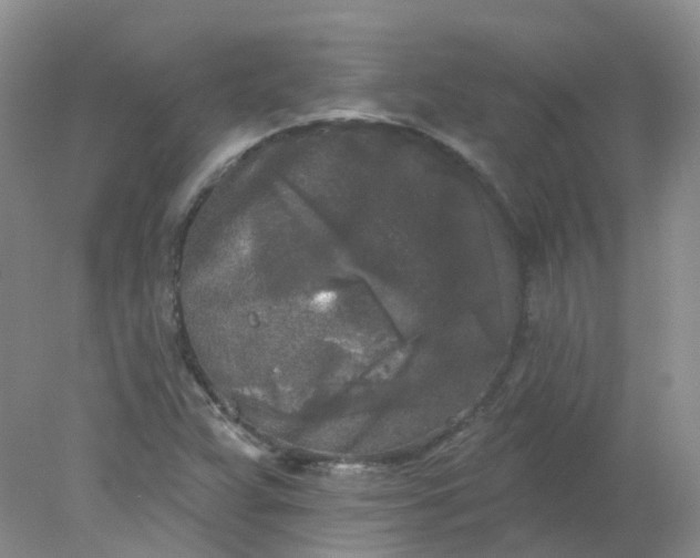 X0000078311359200611172204