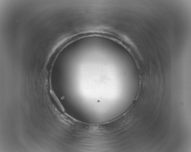 X0000078311360200611172204