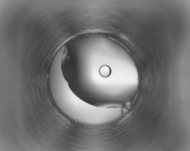 X0000078311361200611172204