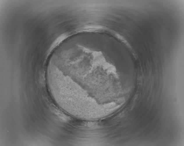 X0000078311362200611172204