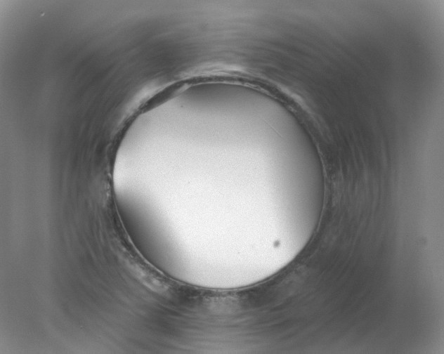 X0000078311363200611172204