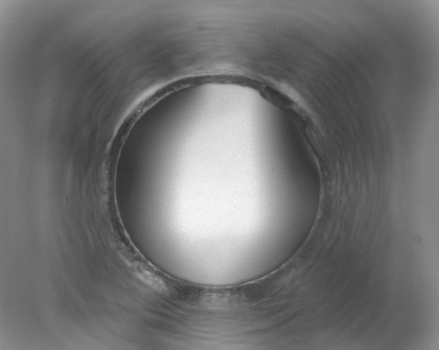 X0000078311364200611172204