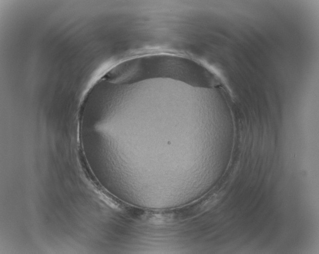 X0000078311365200611172204