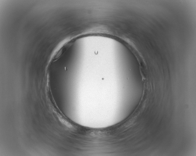 X0000078311366200611172204