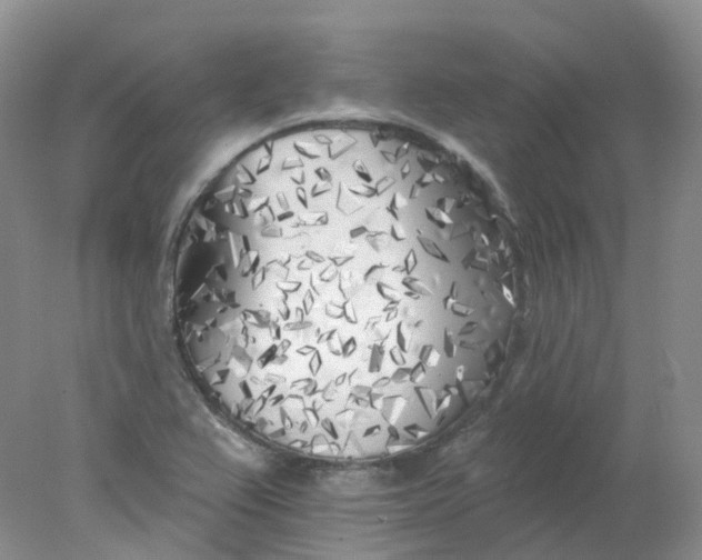 X0000078311367200611172204