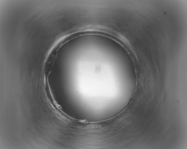 X0000078311368200611172204