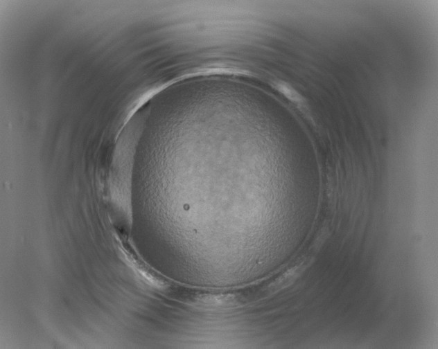 X0000078311369200611172204