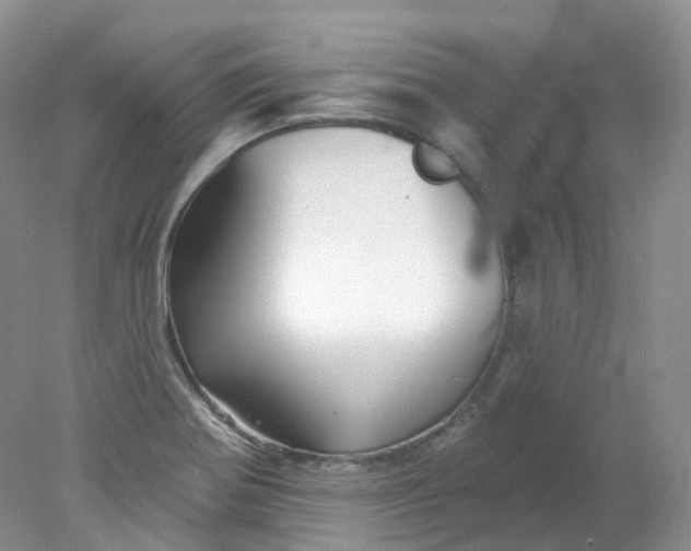 X0000078311370200611172204