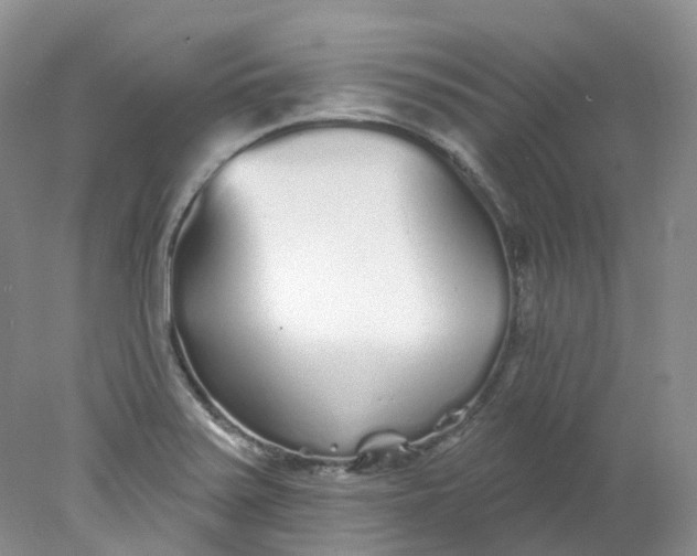 X0000078311371200611172204