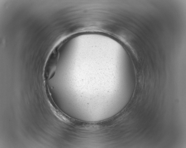 X0000078311372200611172204