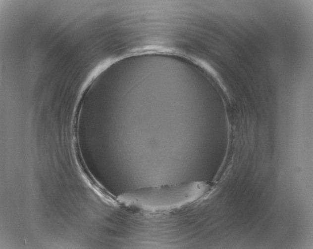 X0000078311373200611172204