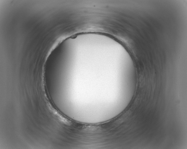 X0000078311374200611172204