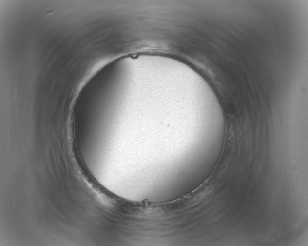 X0000078311375200611172204