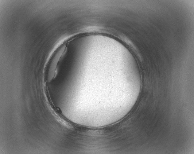 X0000078311376200611172204