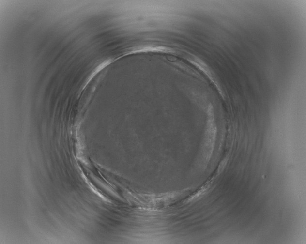 X0000078311377200611172204