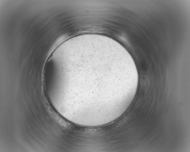 X0000078311378200611172203