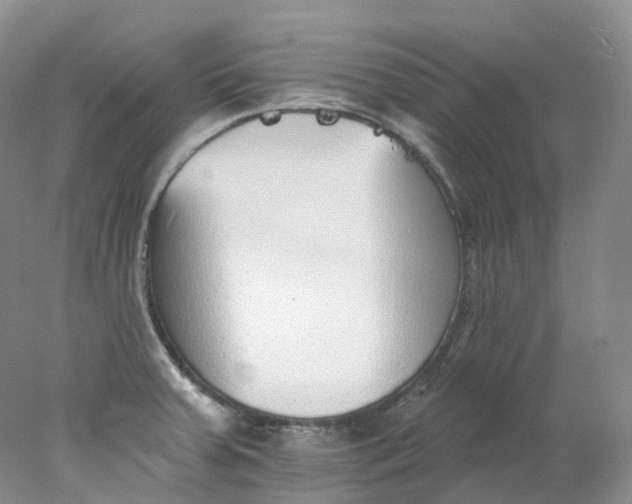 X0000078311379200611172203