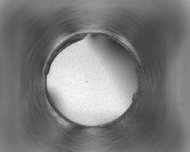 X0000078311380200611172203