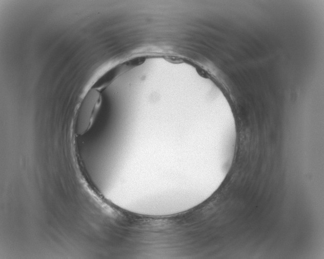 X0000078311382200611172203