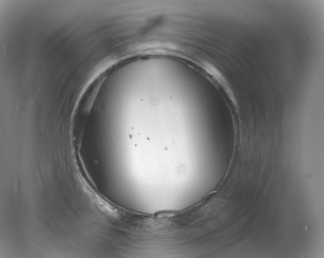 X0000078311384200611172203