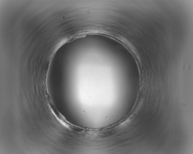 X0000078311385200611172203