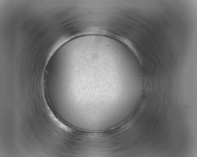 X0000078311387200611172203