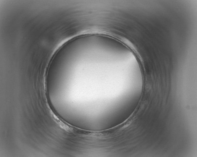 X0000078311388200611172203