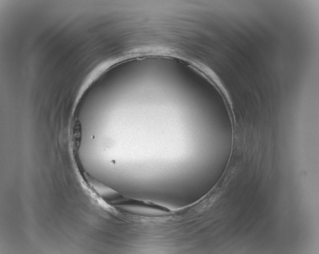 X0000078311389200611172203