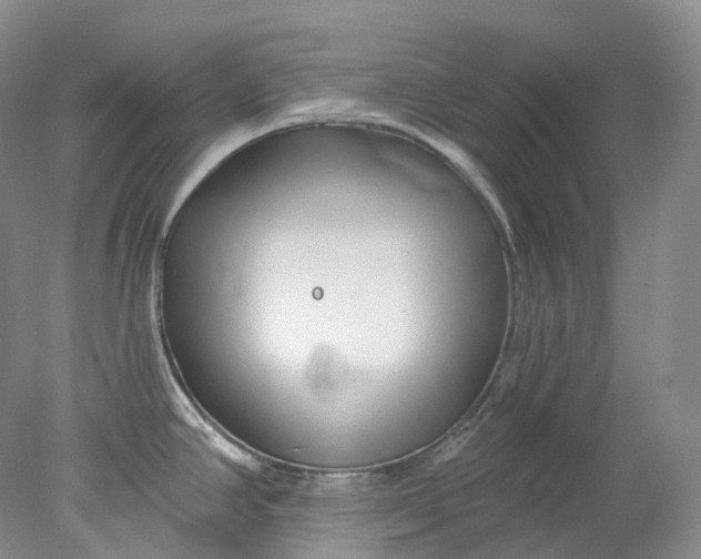 X0000078311390200611172203