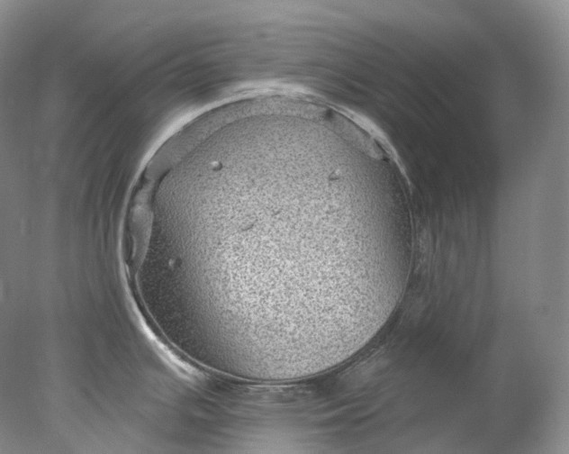 X0000078311391200611172203