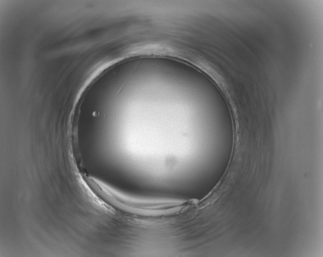 X0000078311392200611172203