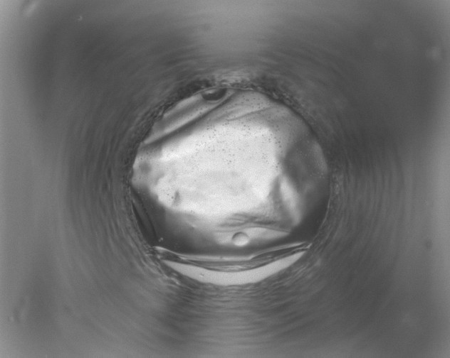 X0000078311393200611172202