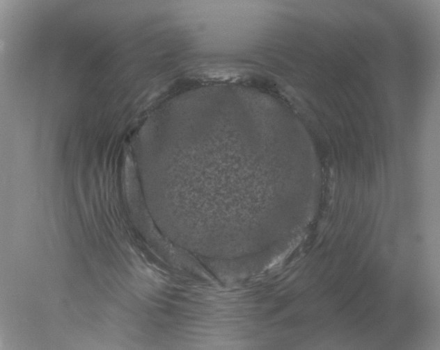 X0000078311394200611172202