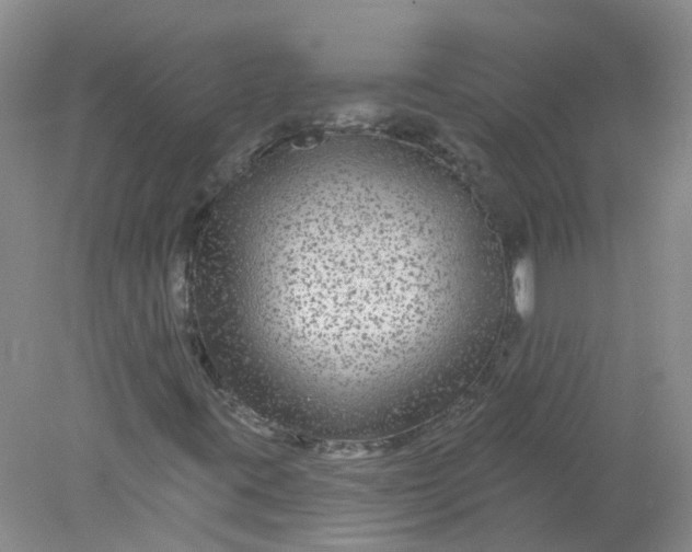 X0000078311395200611172202