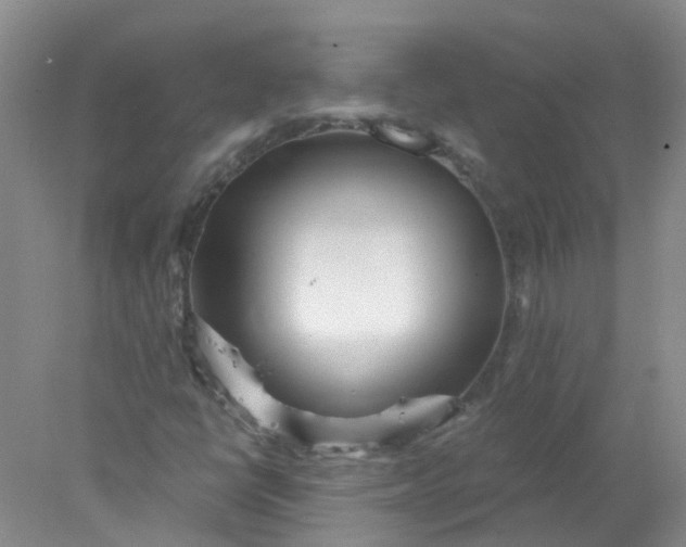 X0000078311398200611172203