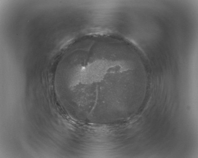 X0000078311399200611172203