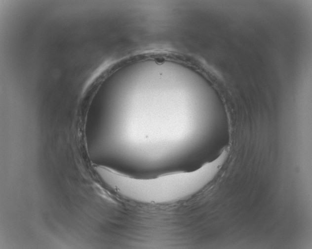 X0000078311400200611172203