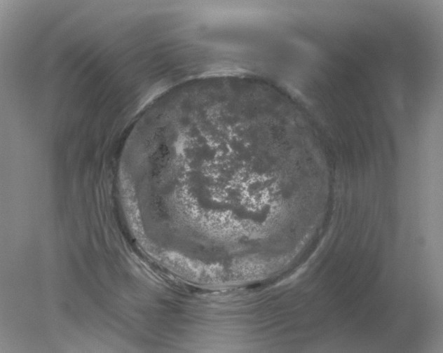 X0000078311401200611172203