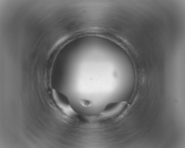 X0000078311402200611172203