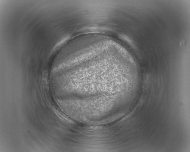 X0000078311403200611172203