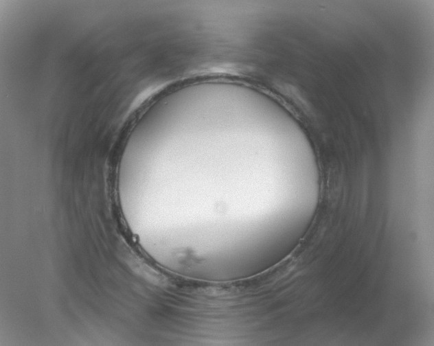 X0000078311404200611172203