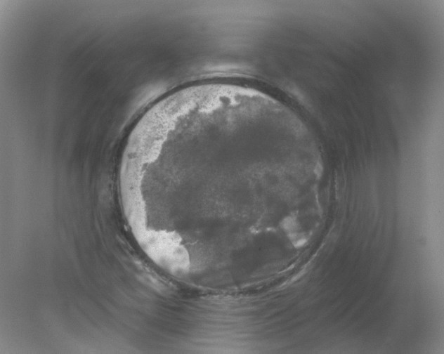 X0000078311405200611172203