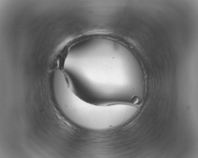 X0000078311406200611172203