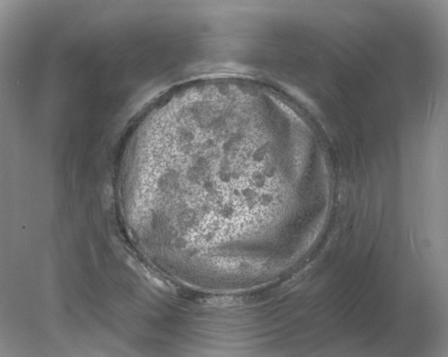 X0000078311407200611172203