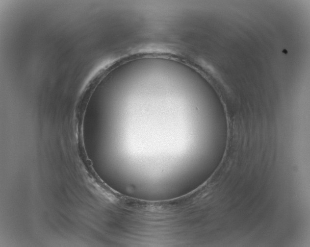 X0000078311408200611172203