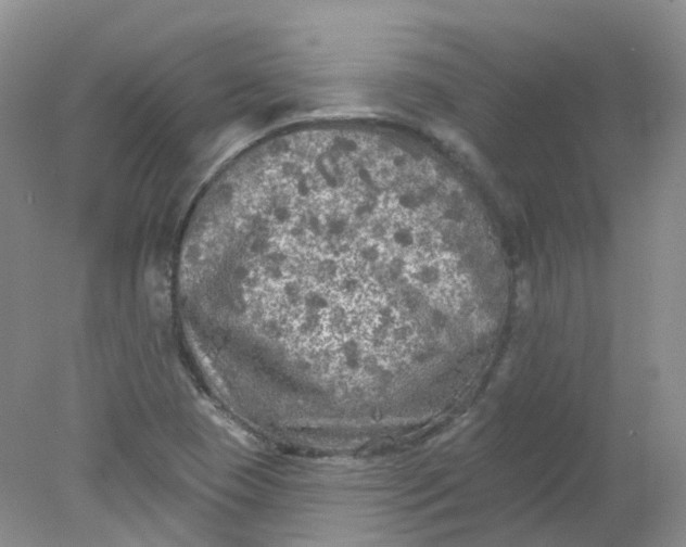 X0000078311409200611172203