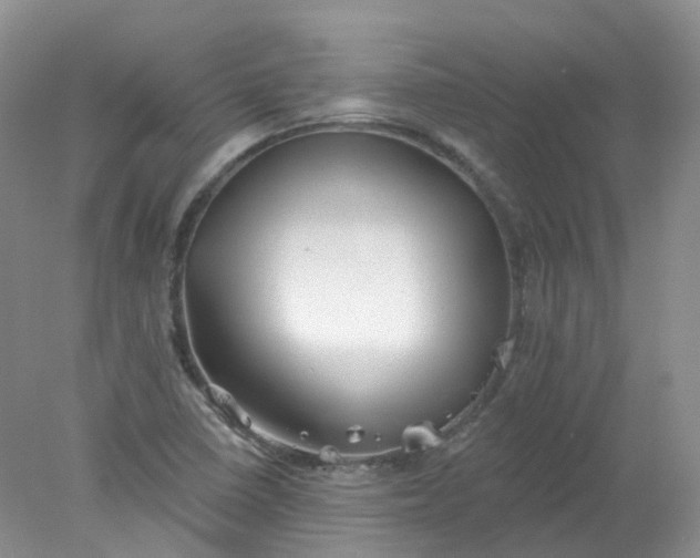 X0000078311410200611172203