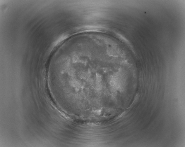 X0000078311411200611172203