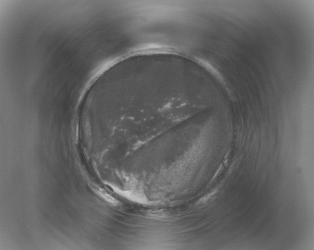 X0000078311413200611172203